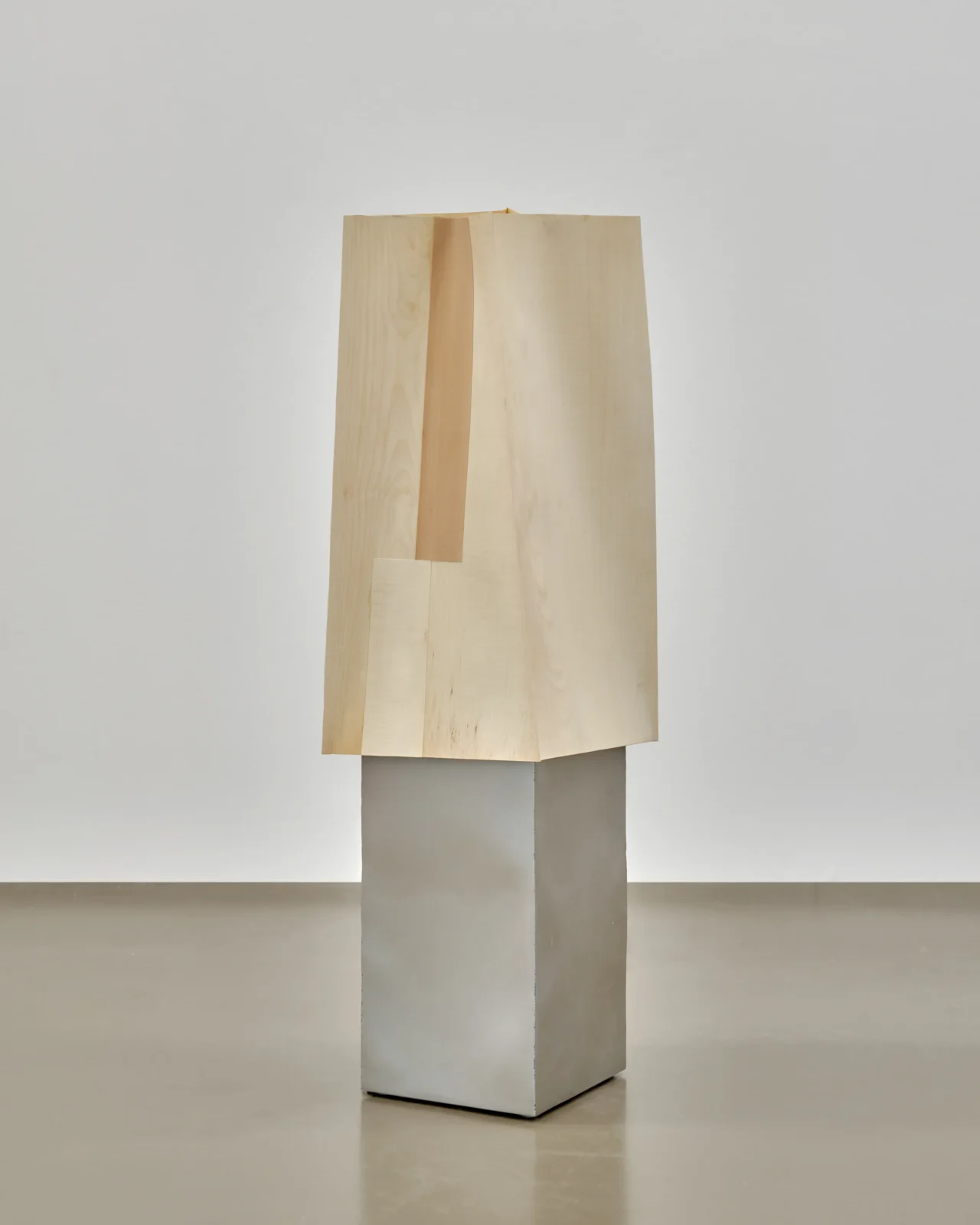 Soft Ply Floor Lamp in Steel and Wood — 2
