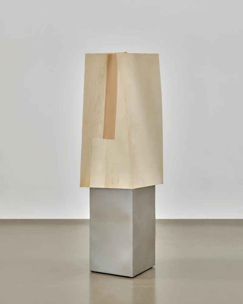 hola-9048-mariadela-fluid-1