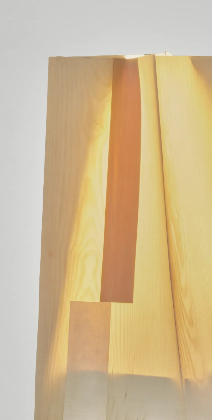 Soft Ply Floor Lamp in Steel and Wood — 3
