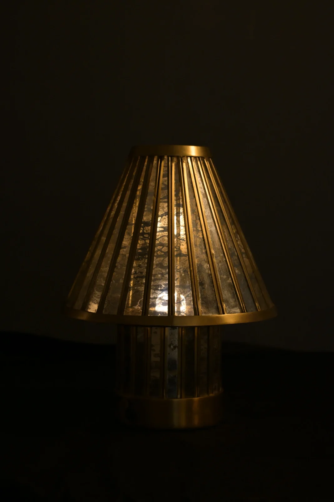 Fossil Table Lamp In Stainless Steel — 7