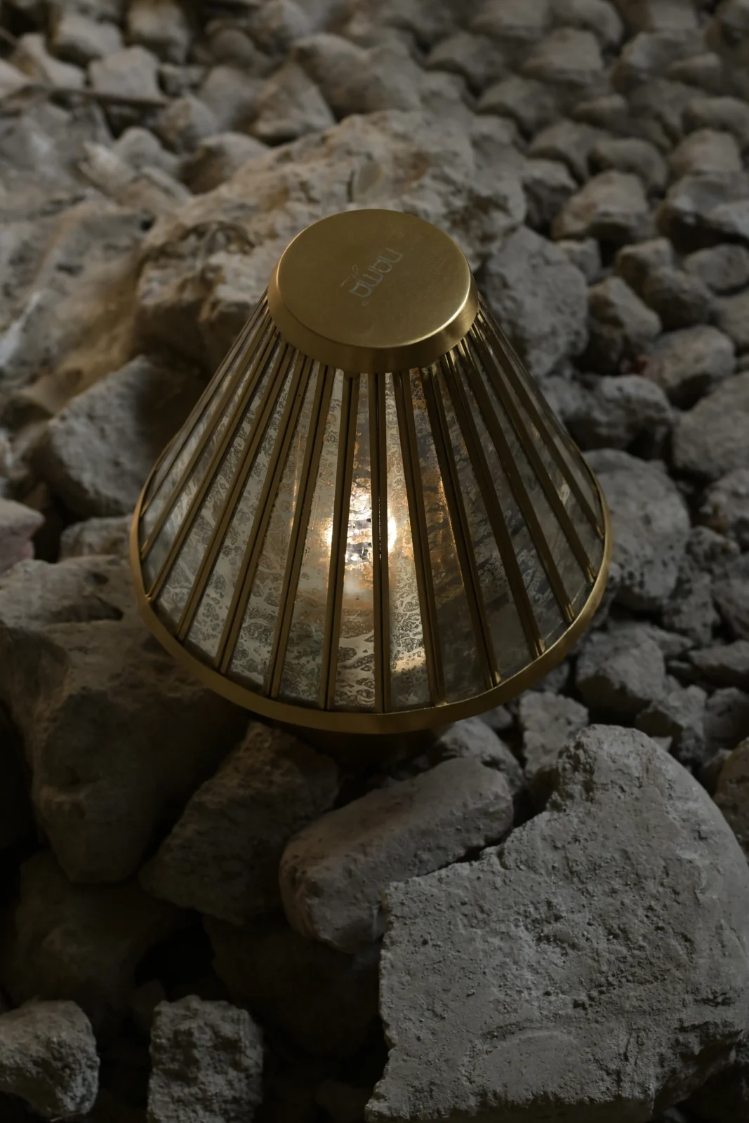 Fossil Table Lamp In Stainless Steel — 10