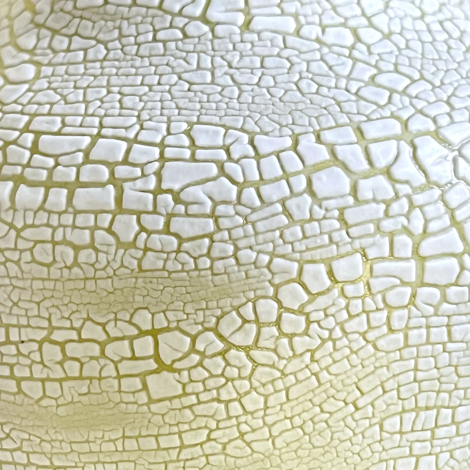 Set Of 6 Small Viie Vases 2.0 — 4