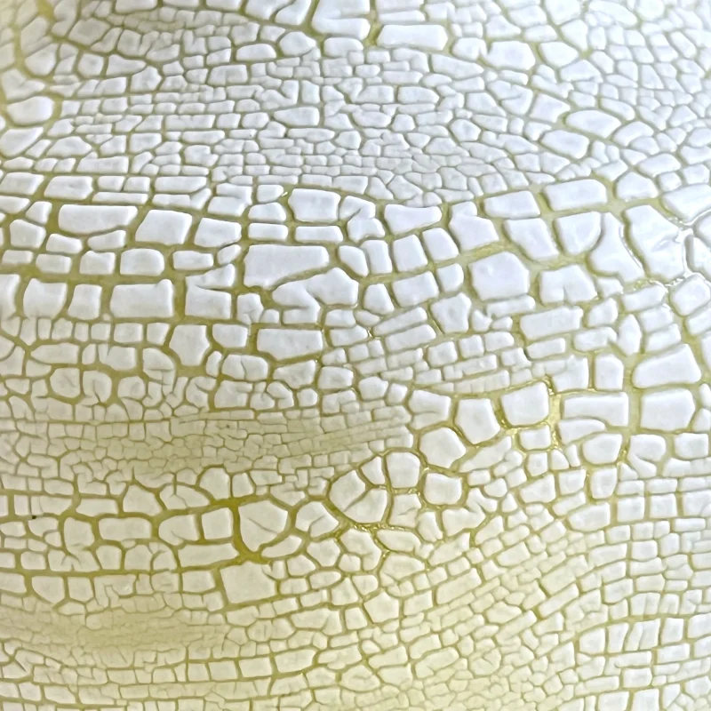 hola-9048-mariadela-fluid-1