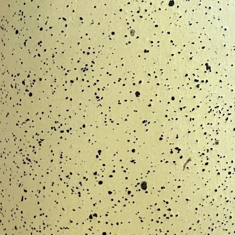 hola-9048-mariadela-fluid-1