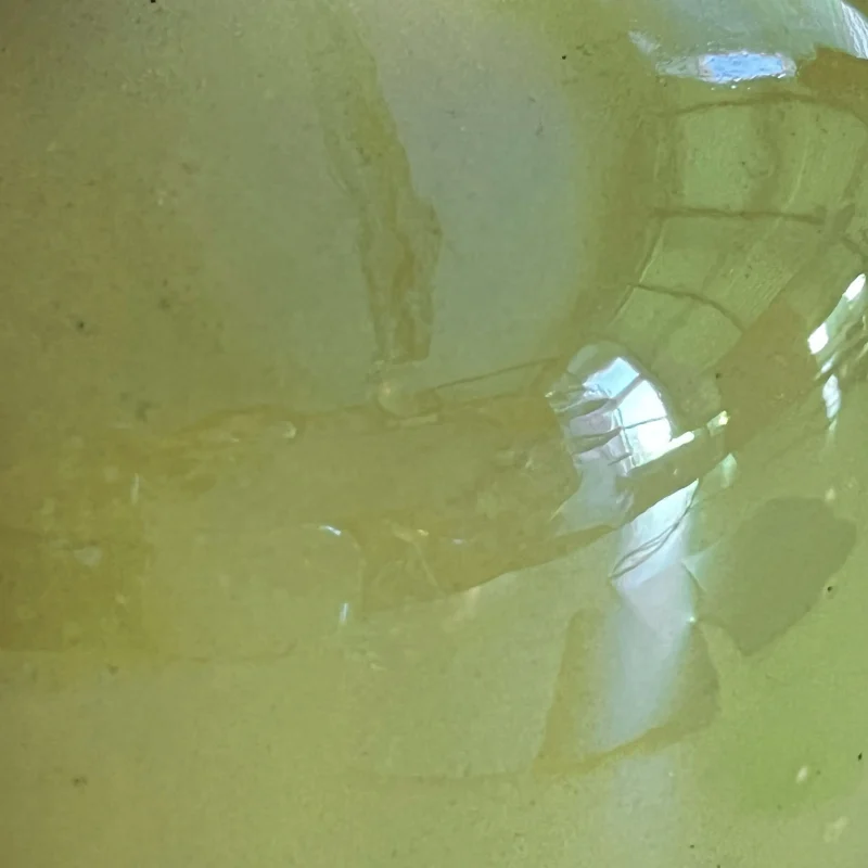 hola-9048-mariadela-fluid-1