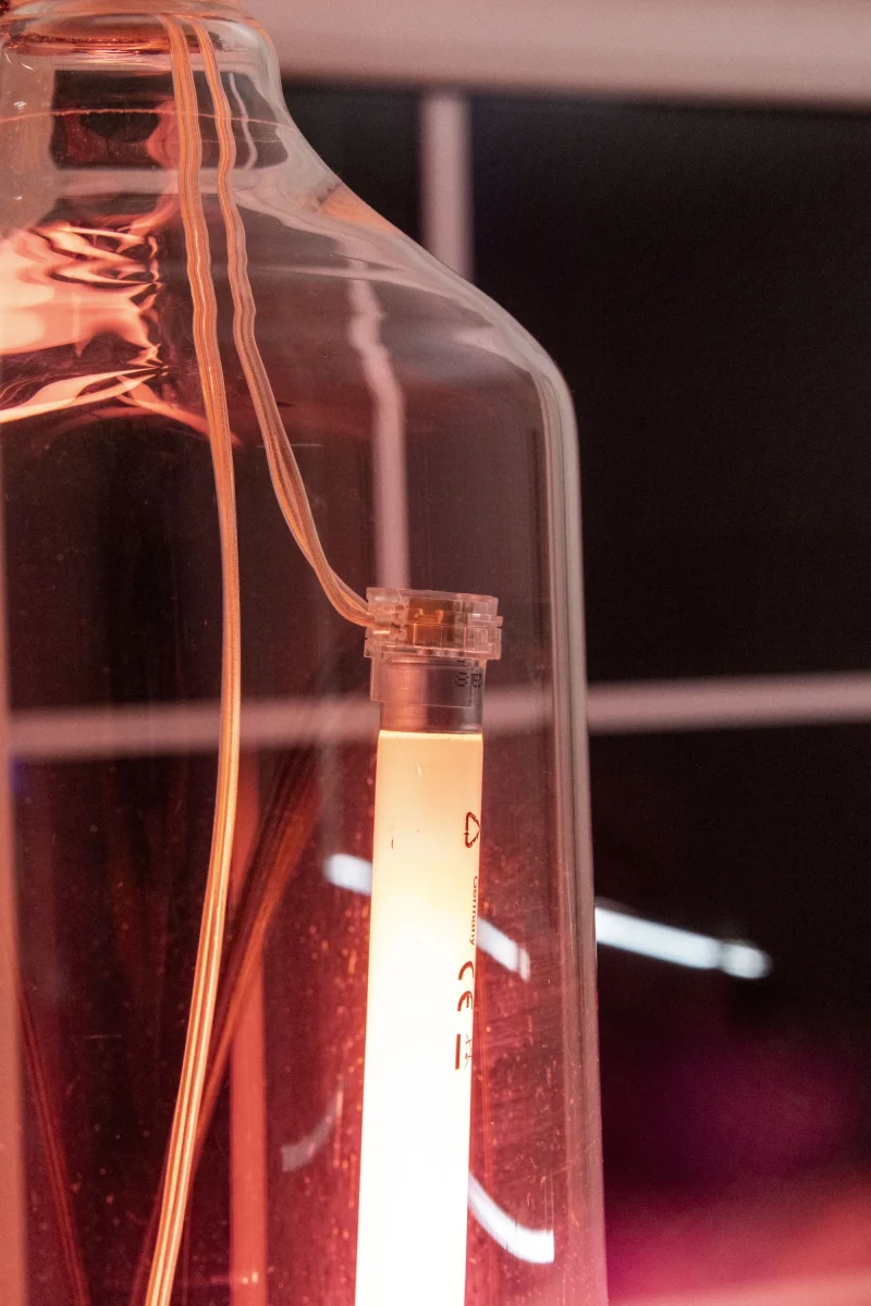 hola-9048-mariadela-fluid-1