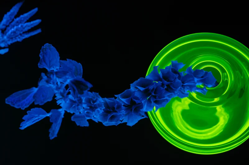 hola-9048-mariadela-fluid-1