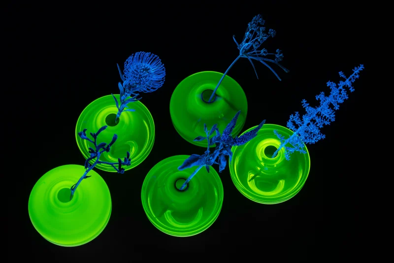 hola-9048-mariadela-fluid-1