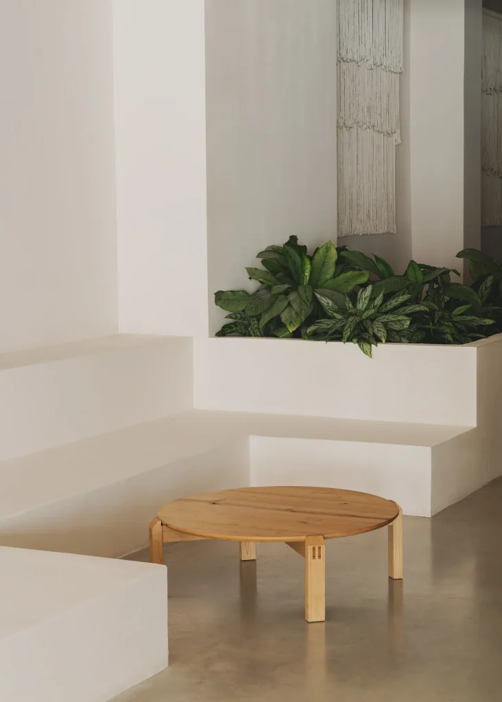 Carmina Coffee Table — 2