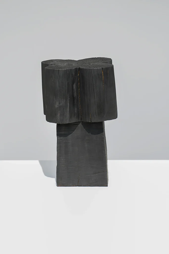 Burnt Stool/Coffee Table — 5