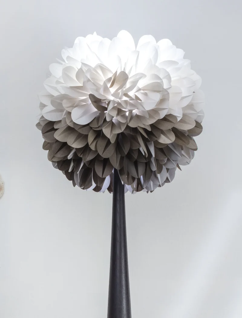 hola-9048-mariadela-fluid-1