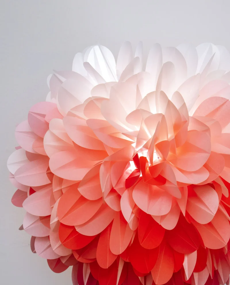 hola-9048-mariadela-fluid-1