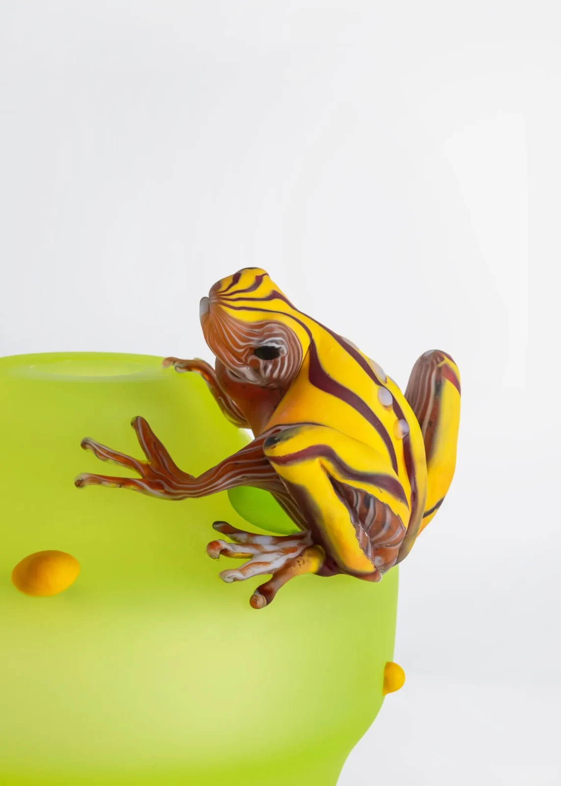 Plush Animals Collection - Unique Frog Vases — 2