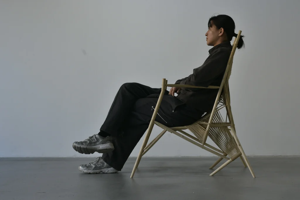 Triceratops Chair — 8