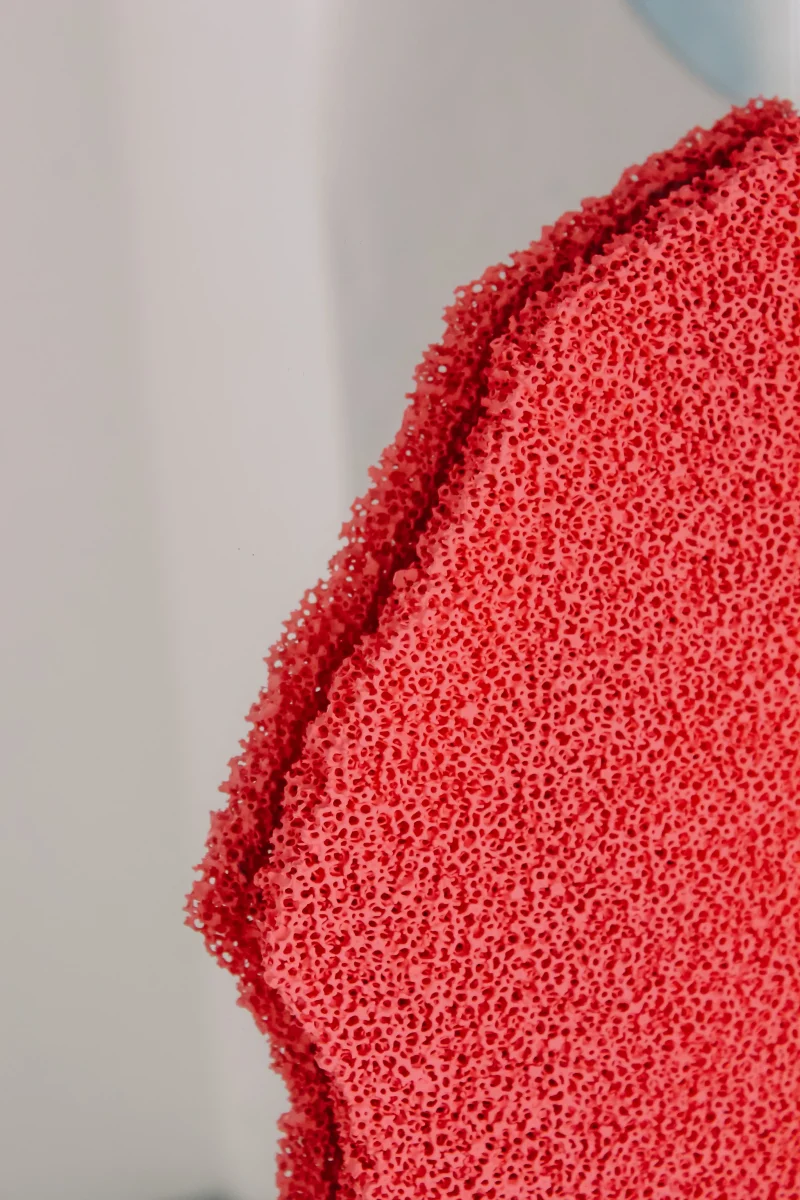 hola-9048-mariadela-fluid-1