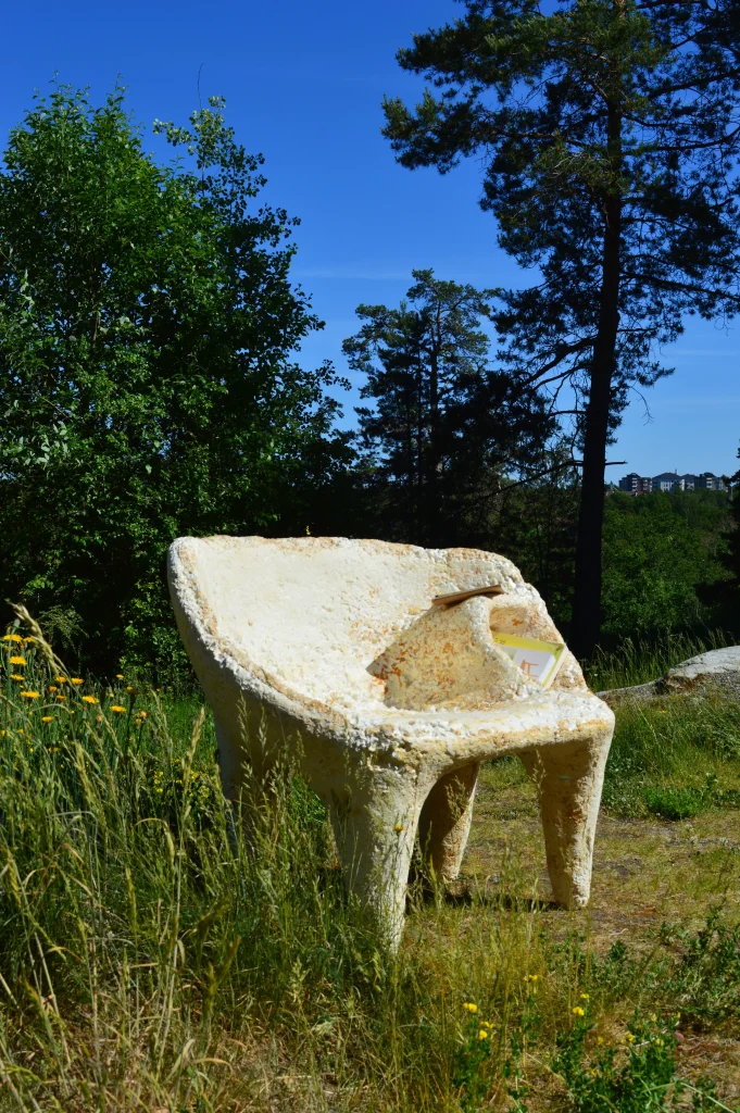 Zwampen - Mycelium Lounge Chair — 2