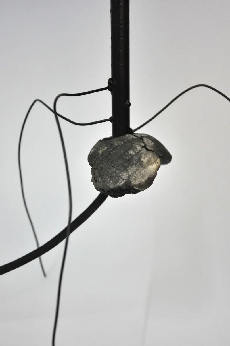 hola-9048-mariadela-fluid-1