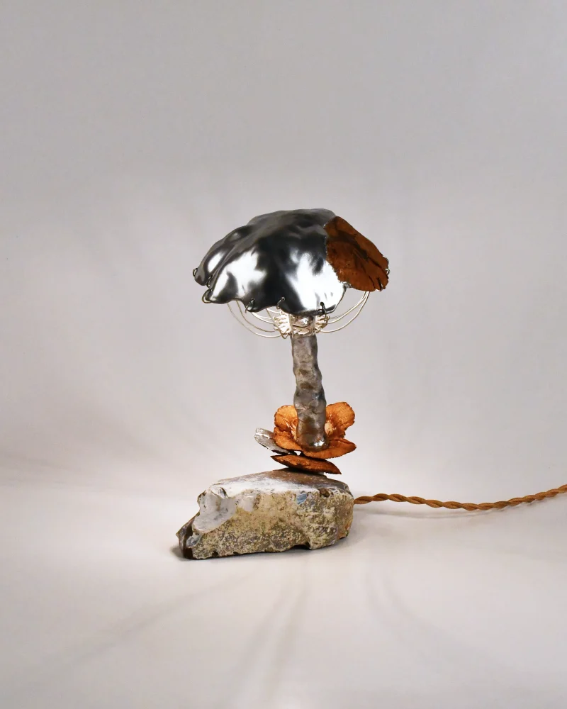 hola-9048-mariadela-fluid-1