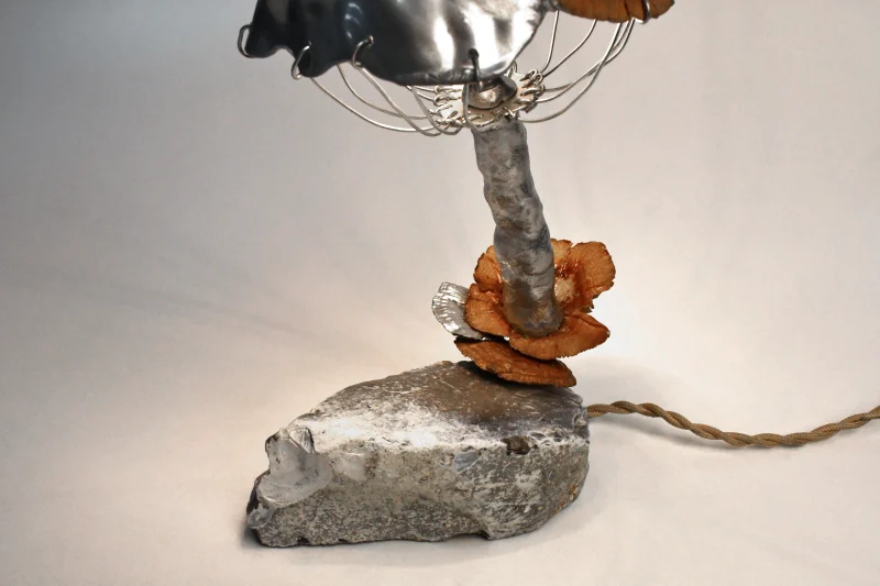 hola-9048-mariadela-fluid-1