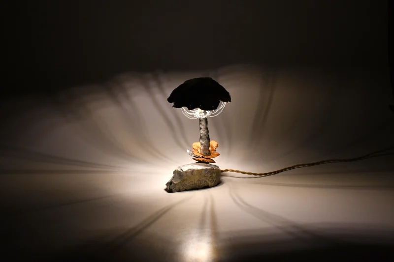 hola-9048-mariadela-fluid-1