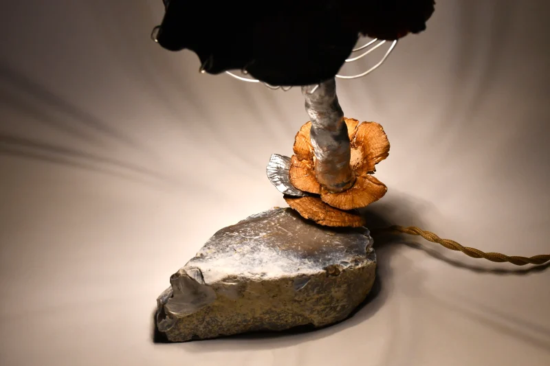 hola-9048-mariadela-fluid-1