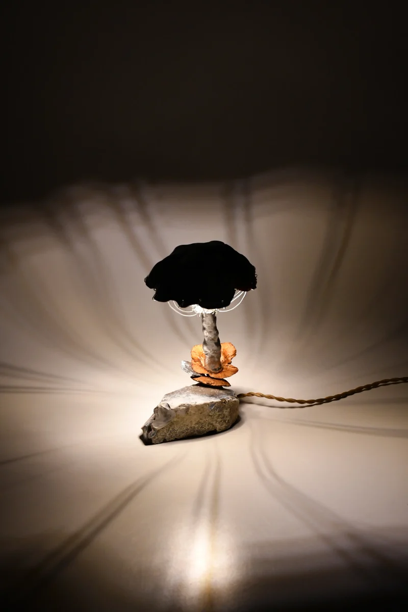 hola-9048-mariadela-fluid-1