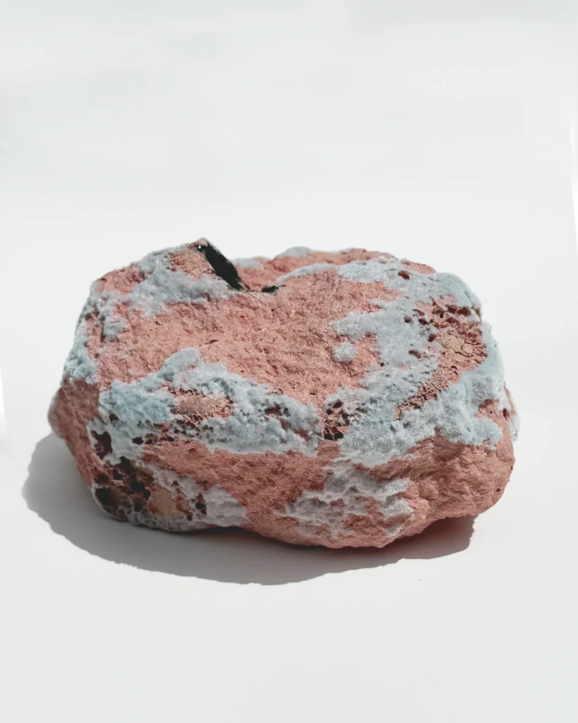 Object - Coral/Light Blue — 4