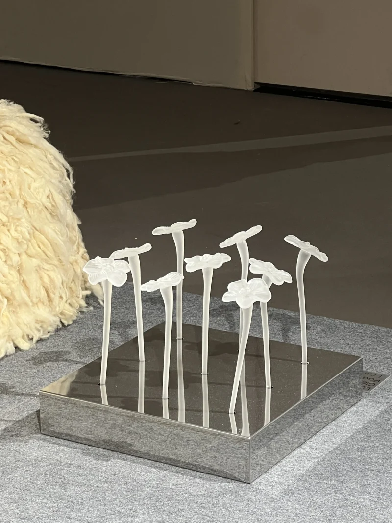 hola-9048-mariadela-fluid-1