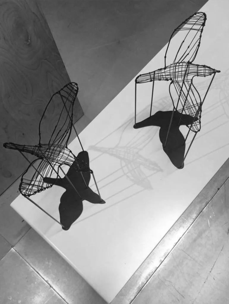Flight Shadows - Decorative Bird With Shadow — 8