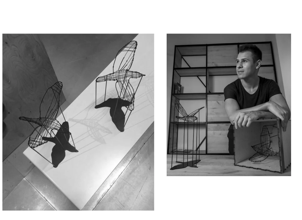 Flight Shadows - Decorative Bird With Shadow — 10