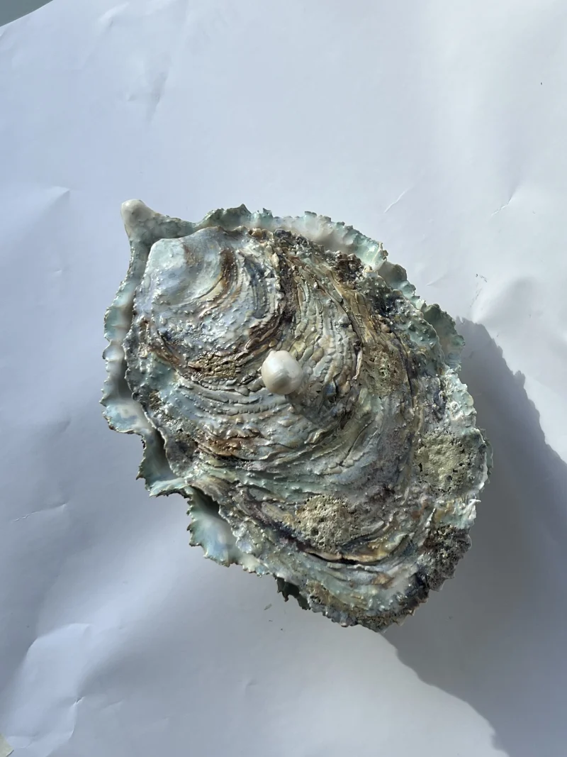 hola-9048-mariadela-fluid-1