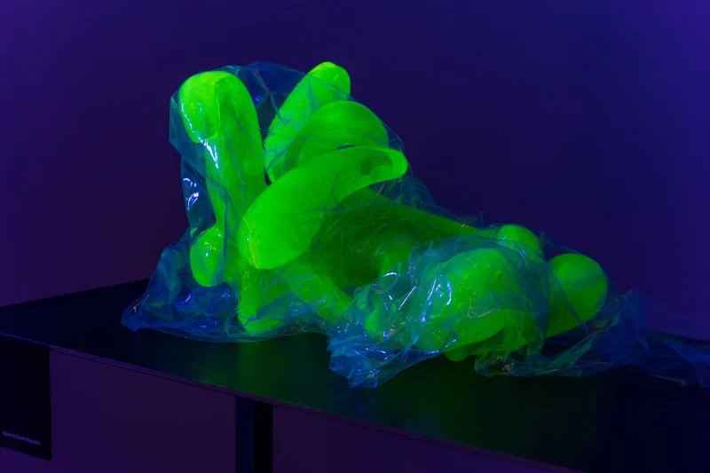 hola-9048-mariadela-fluid-1