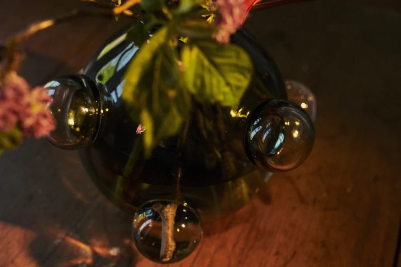 hola-9048-mariadela-fluid-1