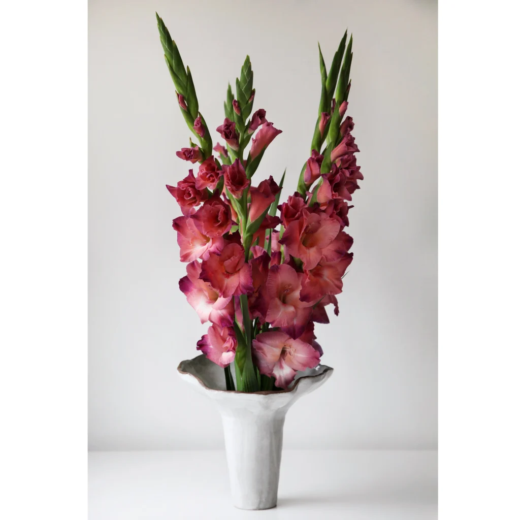Floral Study I: White Bloom — 7
