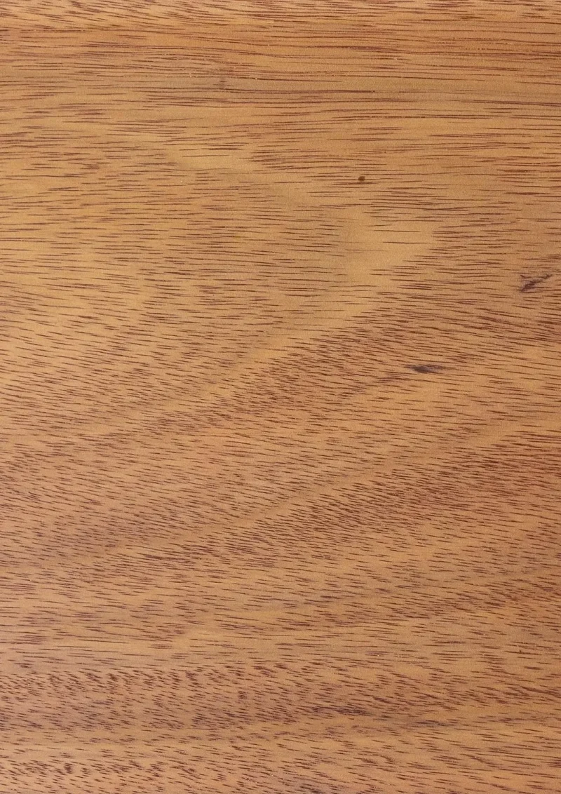 hola-9048-mariadela-fluid-1