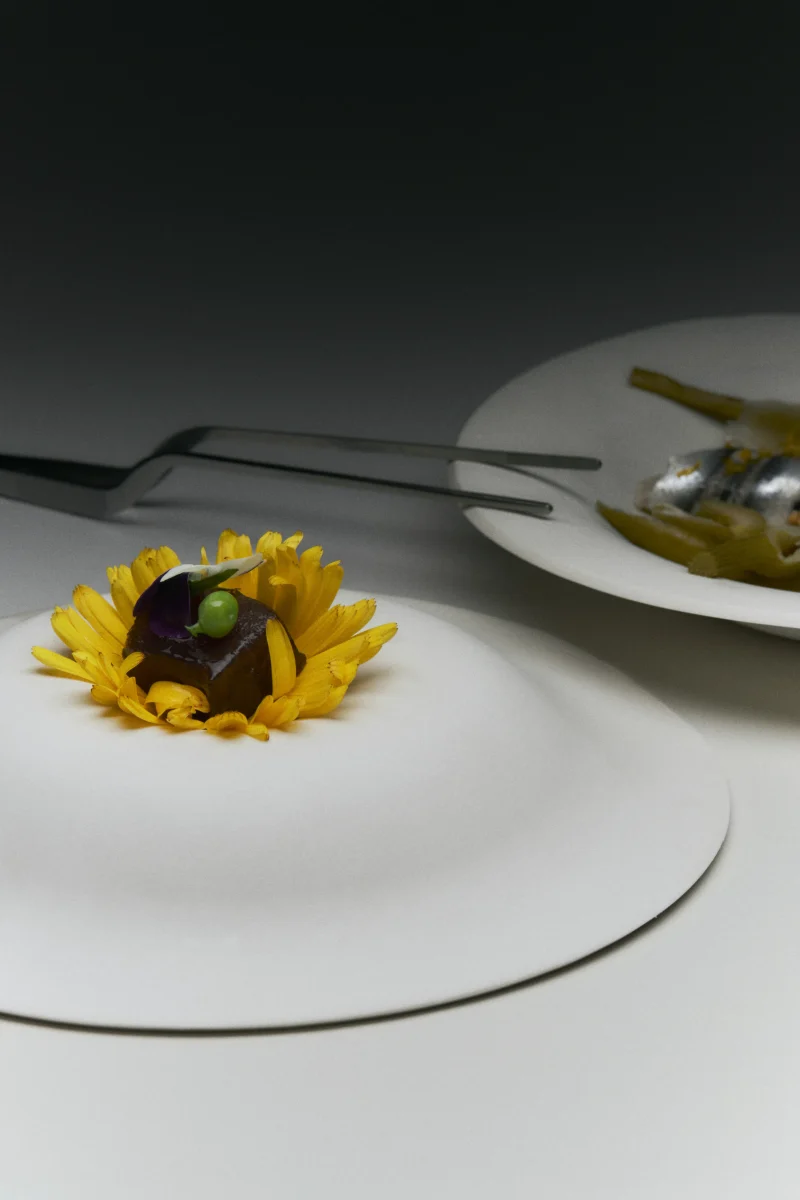 hola-9048-mariadela-fluid-1