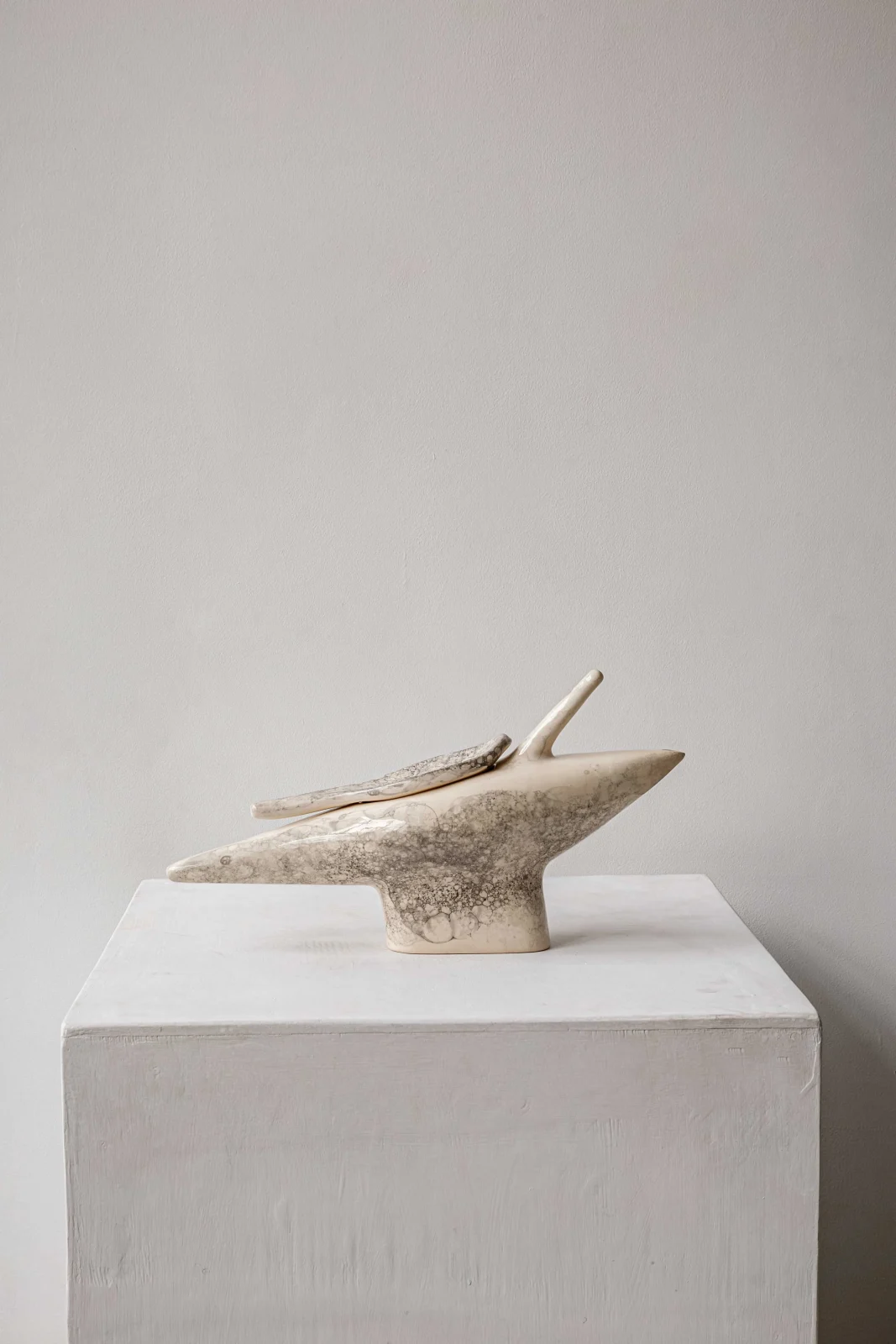 Dyka Ceramic Kettle — 3