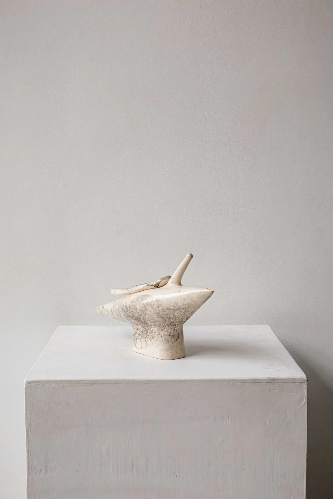 Dyka Ceramic Kettle — 4