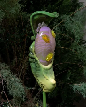 Lapas Paradiso Novo Series