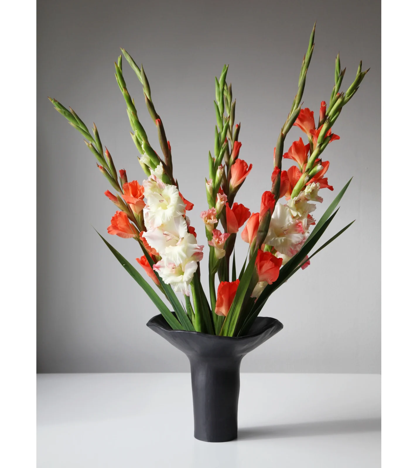 Floral Study I: Night Bloom — 2