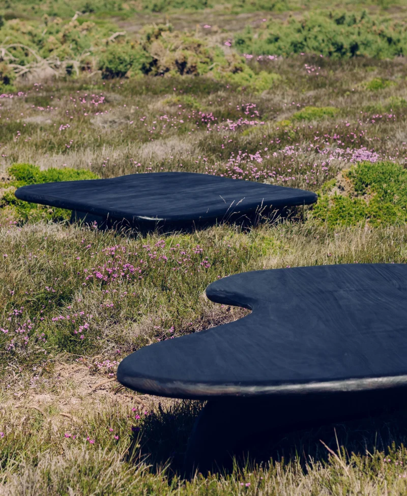 hola-9048-mariadela-fluid-1