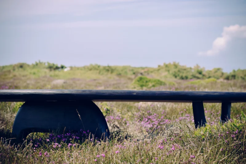 hola-9048-mariadela-fluid-1