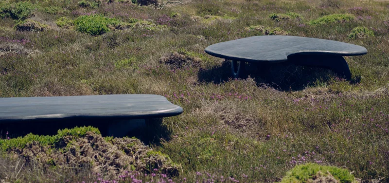 hola-9048-mariadela-fluid-1