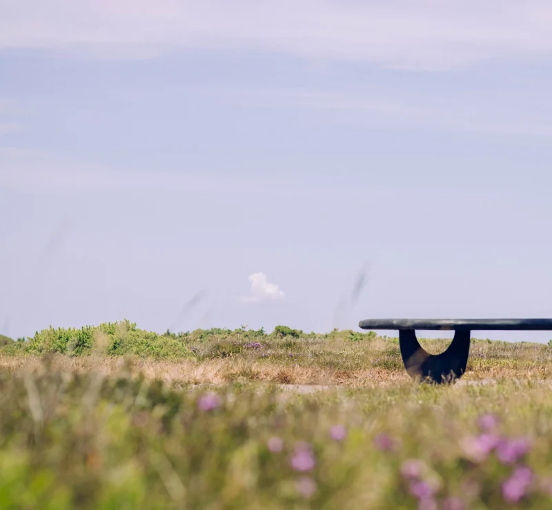 hola-9048-mariadela-fluid-1