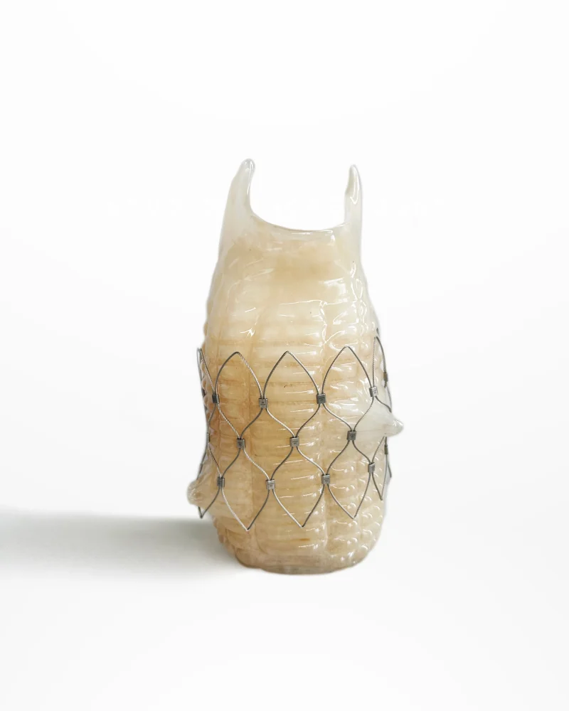 hola-9048-mariadela-fluid-1