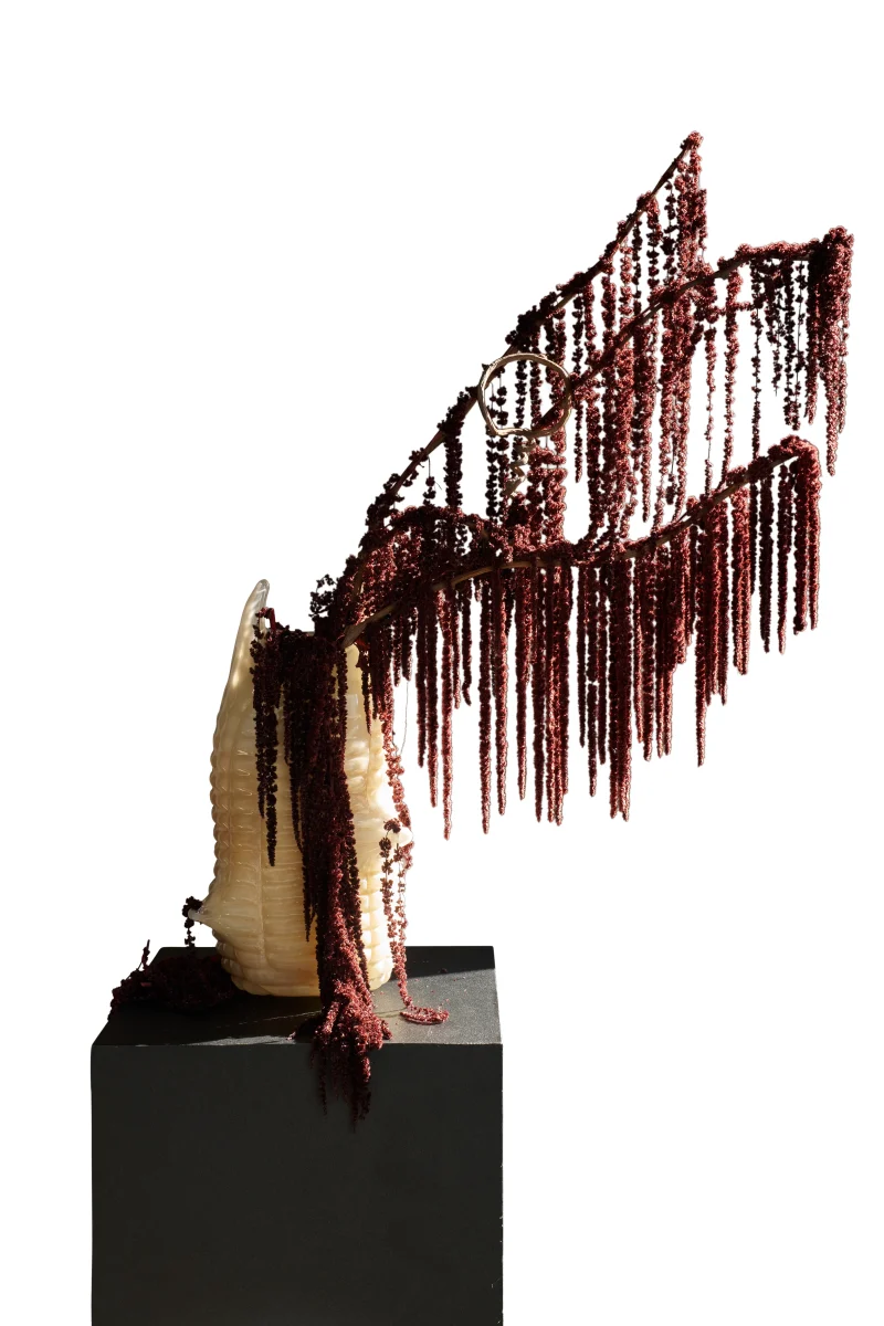 hola-9048-mariadela-fluid-1