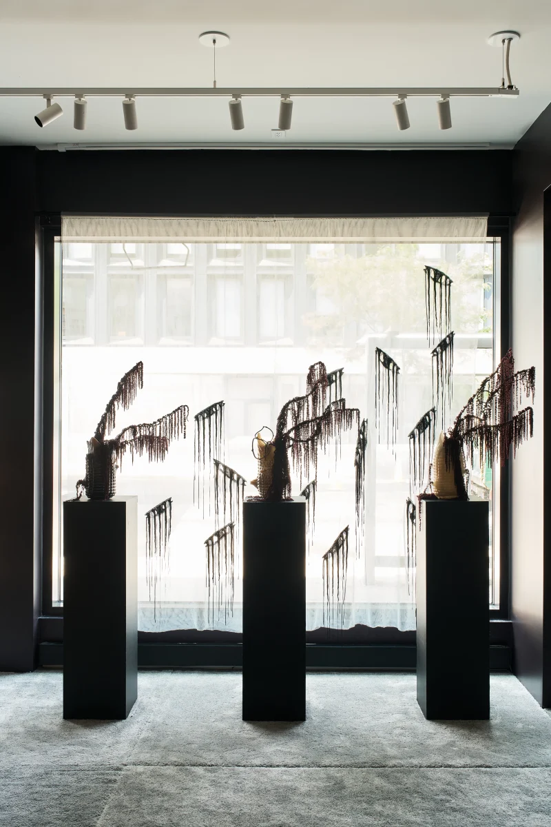 hola-9048-mariadela-fluid-1