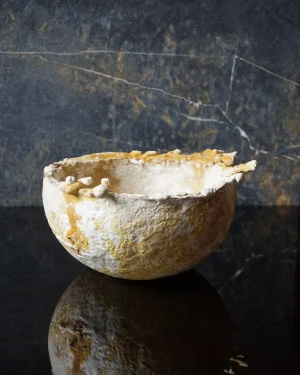 Mycelium Bowl No.1