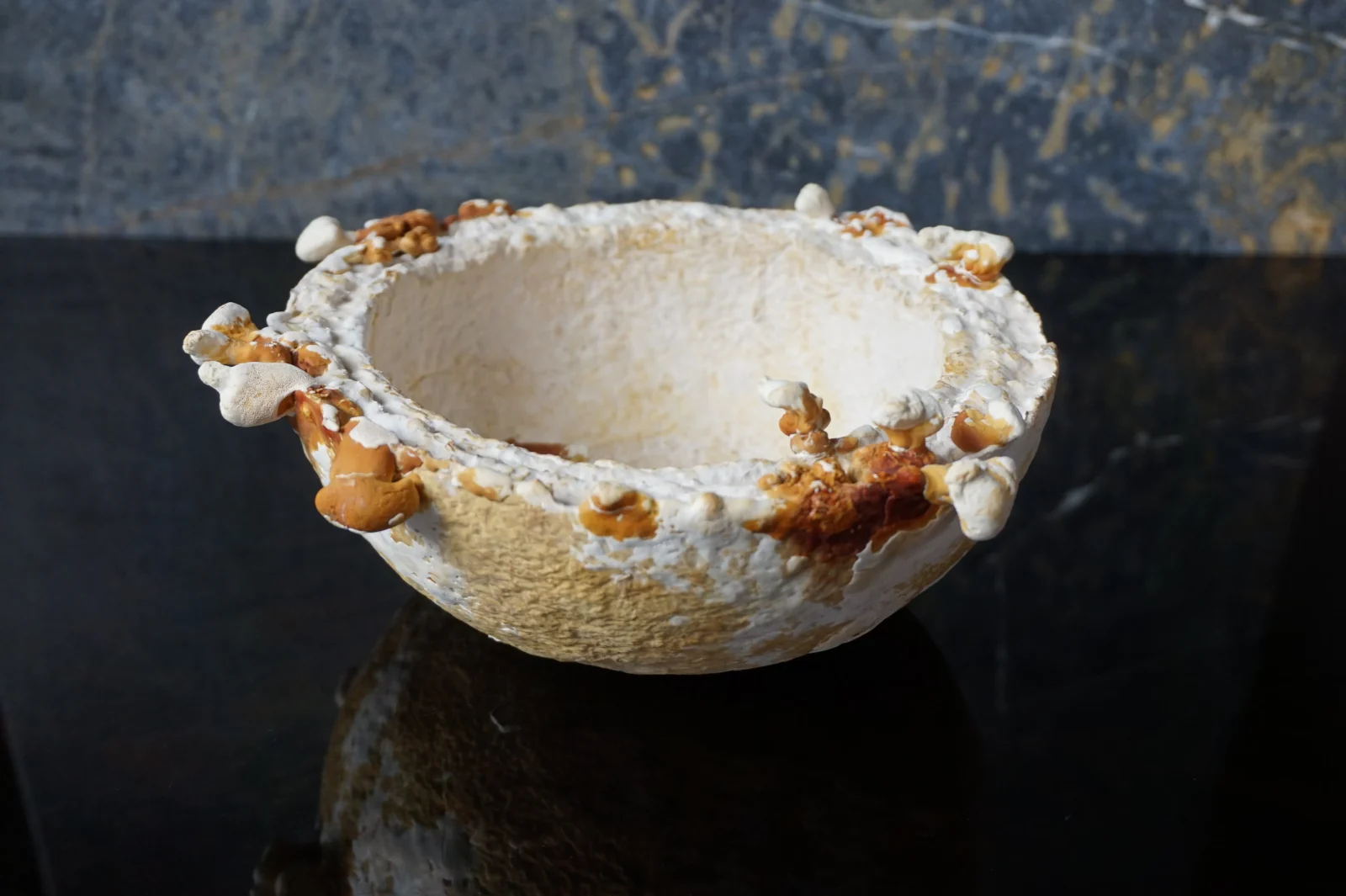 Mycelium Bowl No. 2 grown from fungal material by Solaterre