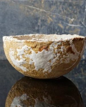 Mycelium Bowl No.3